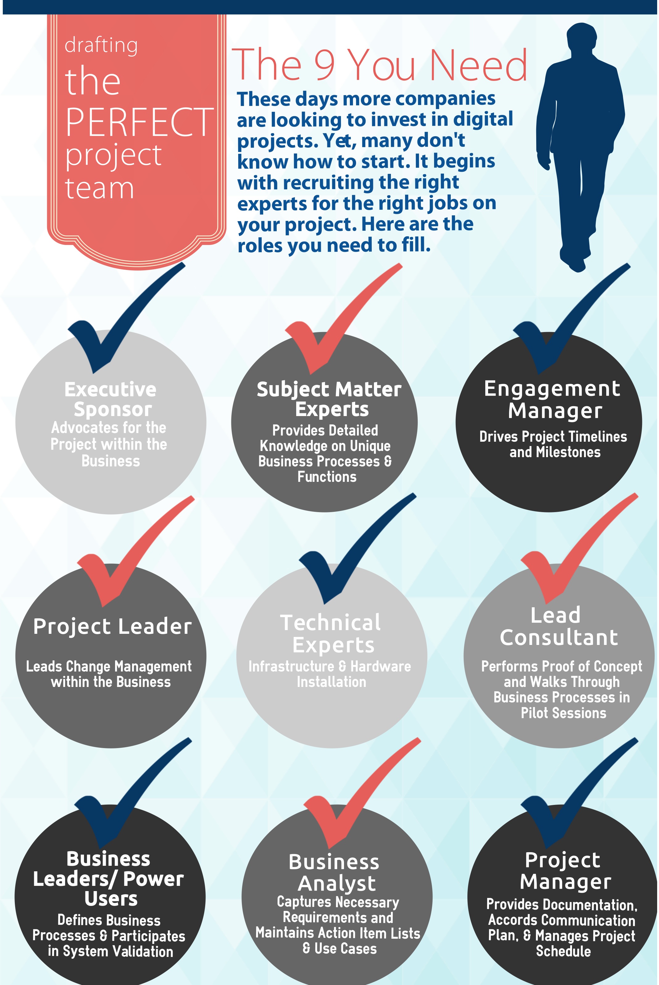 Project Team Roles